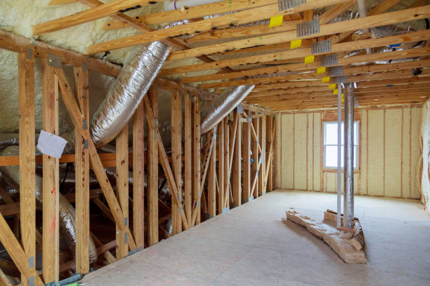 Best Eco-Friendly Insulation in Orland Park, IL