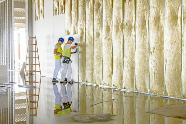 Types of Insulation We Offer in Orland Park, IL